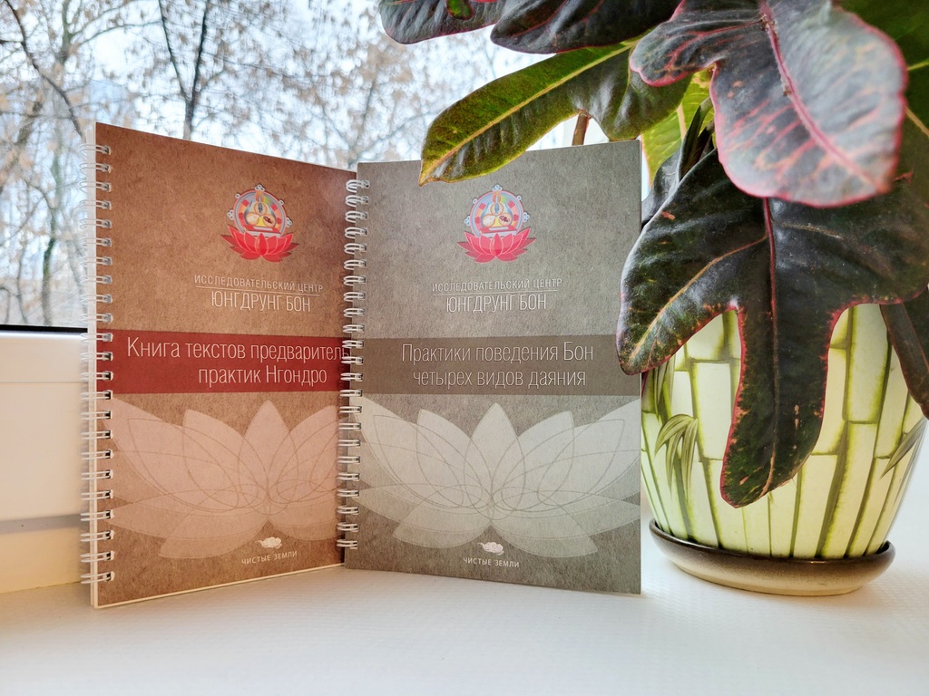 Учебники Чистые Земли