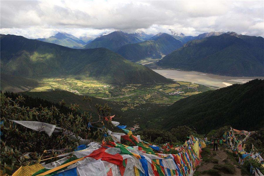 На коре вокруг Бонри