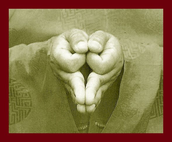 Мудра подношения воды. Символизирует две чаши с водой.