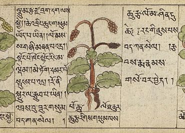 Первый путь Бона: гадания, астрология, ритуалы и медицина